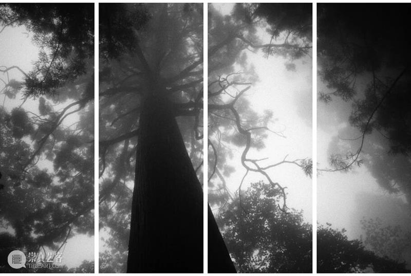 UCCA新年双展预见丨“秋麦:心目之中”与“张能傑:成百上千” 崇真艺客